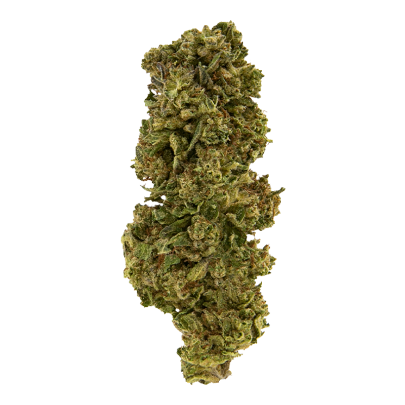 Exotix - Slushie (I/H) - 14g
